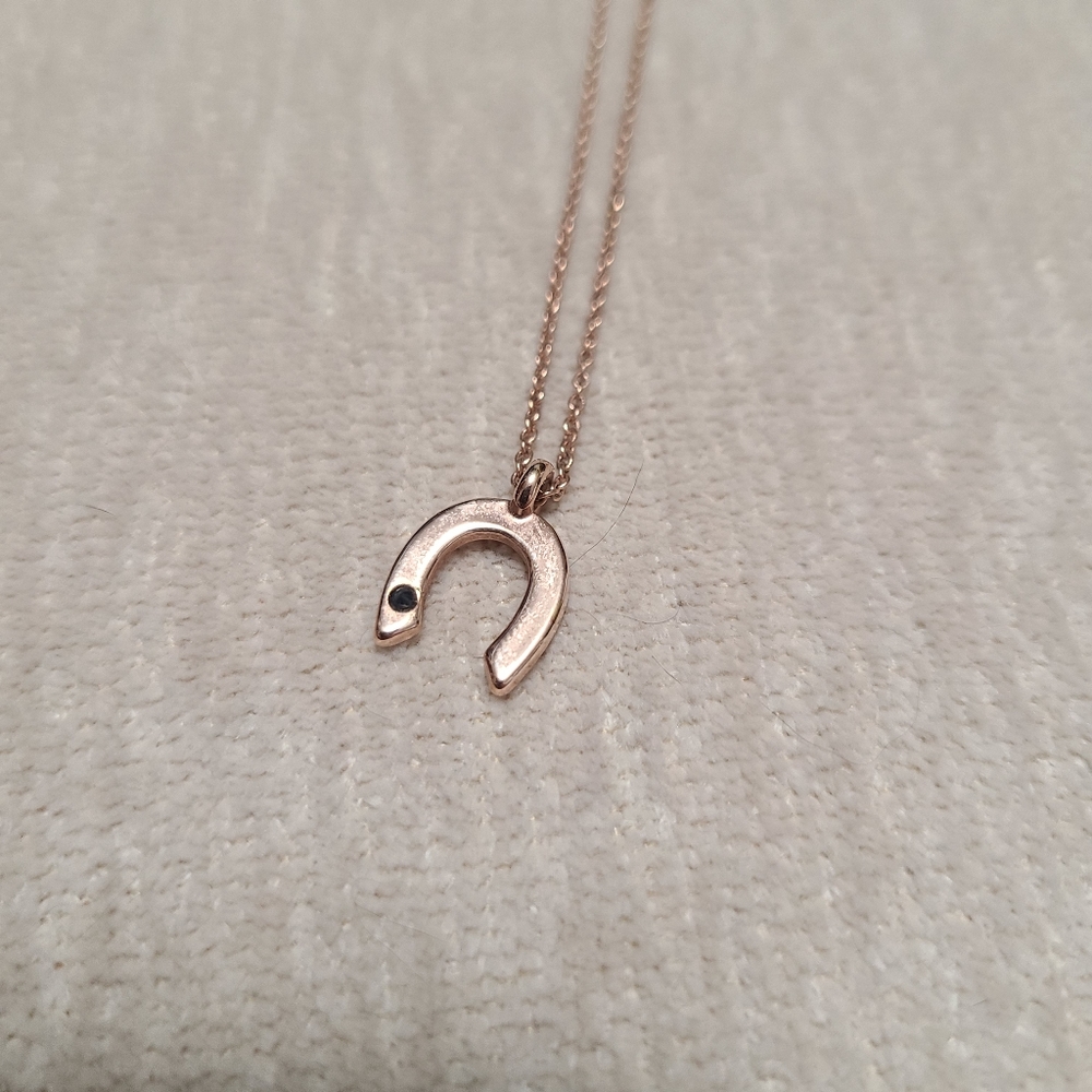 3/$10 Horseshoe Rose Gold Necklace